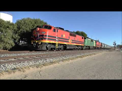 GWA Grain Train GM43 GM40 GM47 30th January 2015