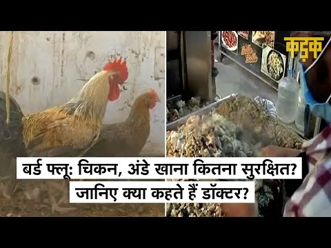 Youtube Video Youtube Video