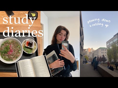 study diaries | slowing down and catching up