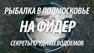 Рыбалка в подмосковье на фидер где ловят