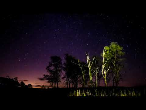 Fakser - Pic-tunes Adventures