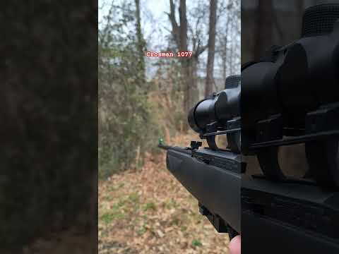 IT'S HERE! Crosman Vapor Max .177 Cal Multi-Pump Air Rifle