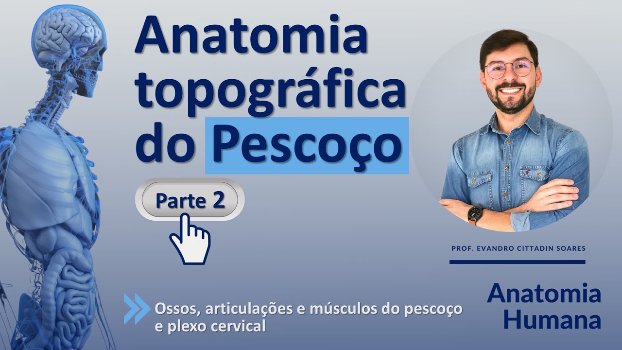 ANATOMIA TOPOGRÁFICA DO PESCOÇO - PARTE 2