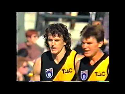 1995 AFL Round 9 Sydney vs Richmond at The SCG