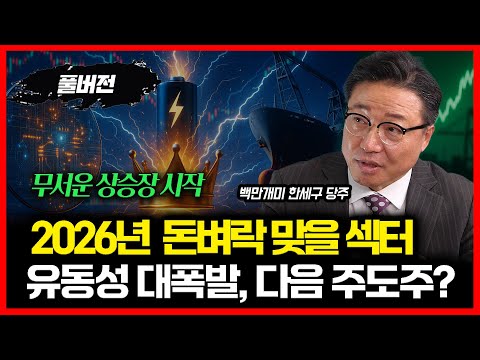 반도체주·2차전지·조선주, 다음 주도주는 어디?  / 2026년, 유동성 대 폭발!  주식투자 지금 안 하면 후회한다! ㅣ백만개미 한세구 당주 (풀버전)