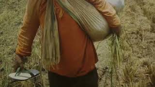 Download lagu Puisi untuk ibu berbahasa bugis Sulawesi selatan mp3