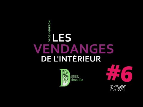 VLOG VIGNERON #6 Dernière journée de vendanges des Bourgogne Rouge : Bilan mitigé