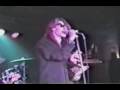 Love Lies Daucus Karota live in Hannover,Germany ...