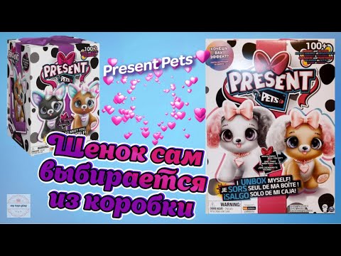 Интерактивный Щенок Present Pets САМ Себя РАСПАКОВЫВАЕТ! Как Играть со Щенком Инструкция Распаковка