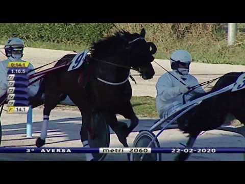 Aversa trotto 22 Febbraio 2020 - 3° Corsa