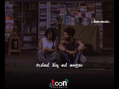 #feell #feelmusic #lovelysong #toonmusoc #සදනාරී  ❤️සදනාරී ඔබ මා මැවුනා...❤️||sadanari oba ma mavna