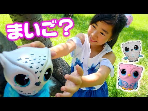 とんで！オウリーがまいご？お世話してお母さんの元にかえしてあげよう ✨ お家を作ったり🏠 ふくろうカフェに行ったり ✨ ダンスも踊ってみたよ DIY ☆ Saaaaaya