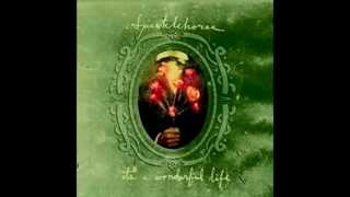 Piano fire - Sparklehorse (With lyrics)