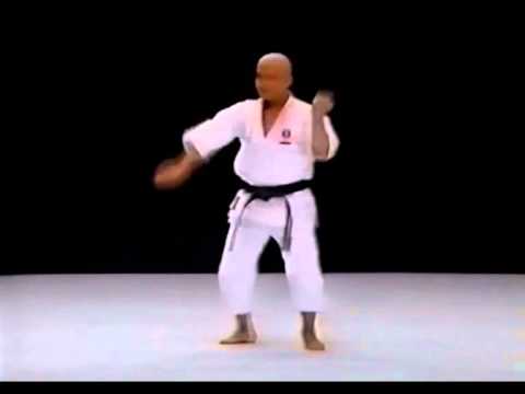 NISEISHI - вид сзади