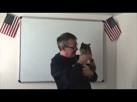 Learn English: Daily Easy English Expression 0671: to draw a blank