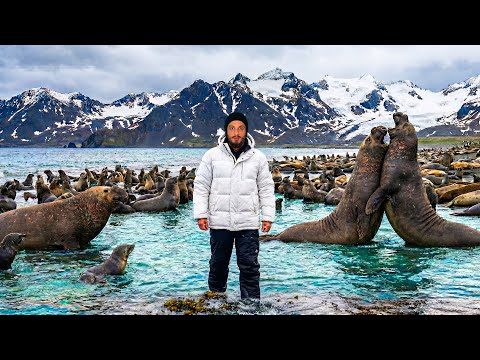 Earth’s Wildest & Most Beautiful Island of Sub Antarctic 🇬🇸🇦🇶 | Ep-7