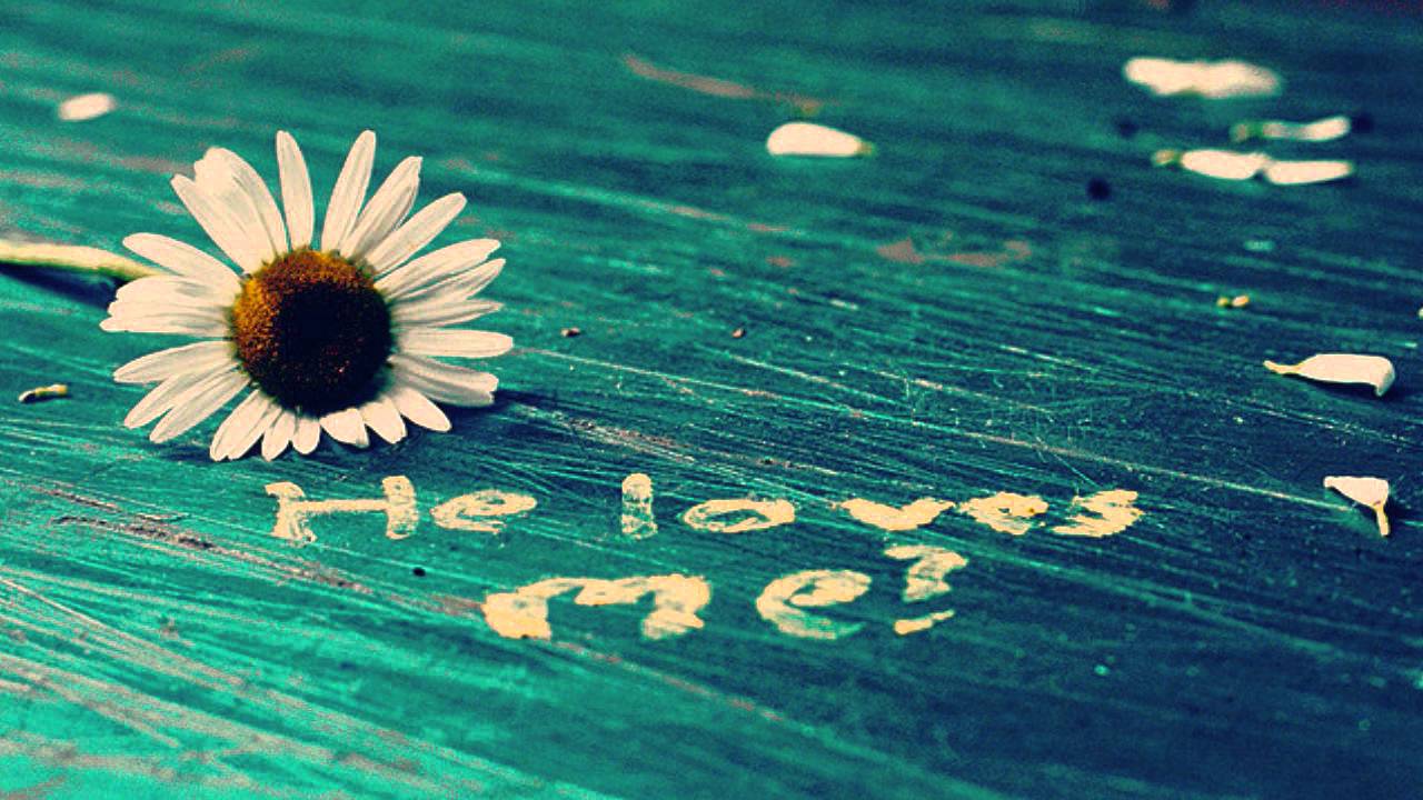 Mohabbat Na Karna Lyrics  | Jaan Pechaan | Radha Asrani, Birbal | Iqbal Gill | Iqbal Gill