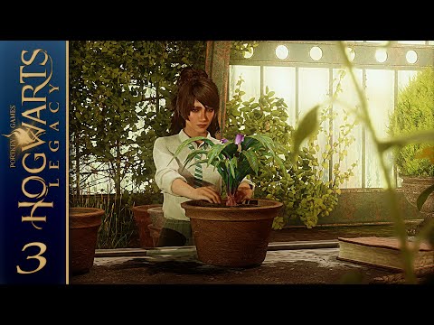Hogwarts Legacy | Walkthrough - Part 3 (Female, Slytherin) No Commentary