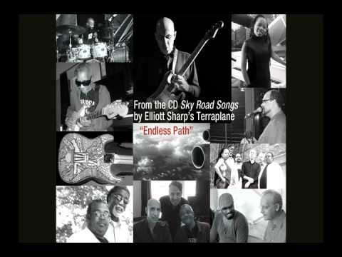 Elliott Sharp's Terraplane: "Sky Road Songs" - Endless Path