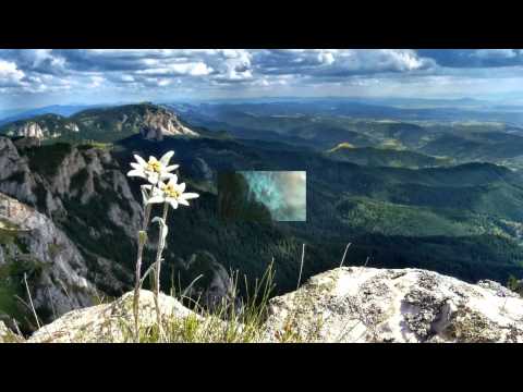 Răzvan Trentea- Israel [2016]