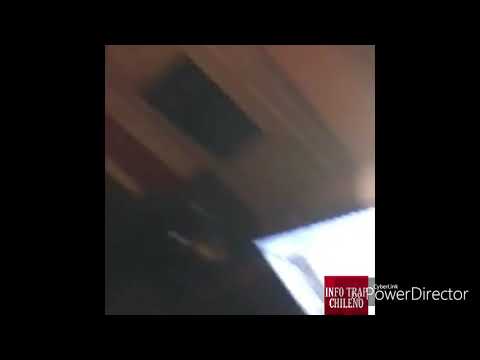 Salimos a cazarte remix