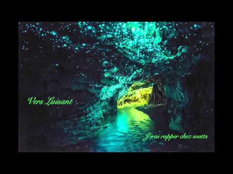 j'irai rapper chez watts: Vers luisant.