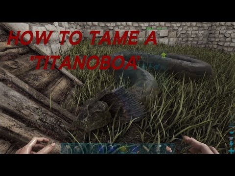 ARK Survival Evolved: "How To" (PROPERLY) Tame a Titanoboa