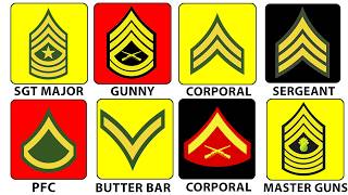 The Most and Least Respected Ranks in the U.S. Marine Corps