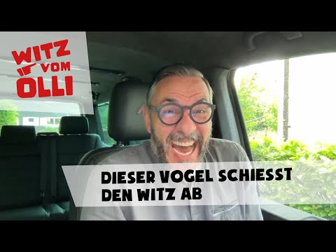 Energy + Elmex + Parrot - 78/24 | Joke from Olli