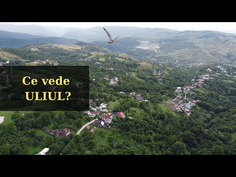 Ce vede ULIUL? Sat Piatra vazut de sus, Jud Arges, Stoenesti| August 2022