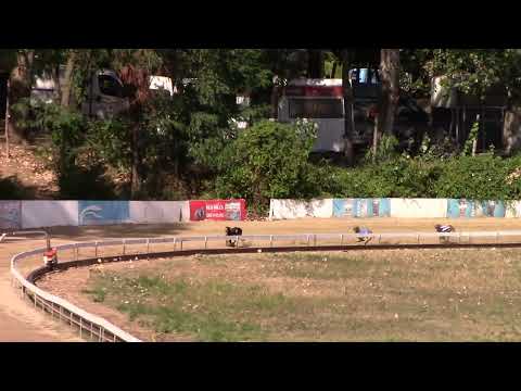 Race 4  Federation Trophy - whippet A2 275m