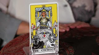 How to Read the Chariot Card | Tarot Cards