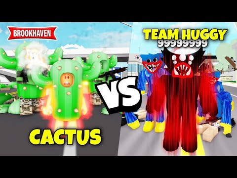 TEAM CACTUS VS TEAM HUGGY WUGGY ... ! BROOKHAVEN - ROBLOX