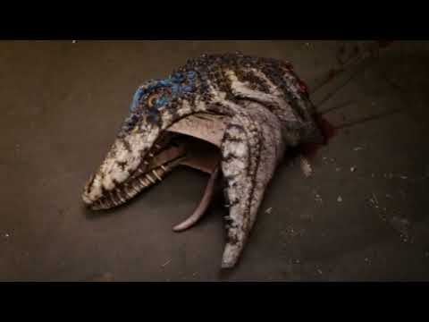 Primeval Series 2 Creatures Tribute - Riot