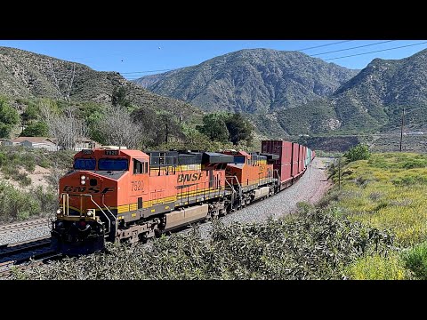 International Twins! Side by Side On The Journey Home! MSC Containers Dominance! 4-13-22 4KHDR!