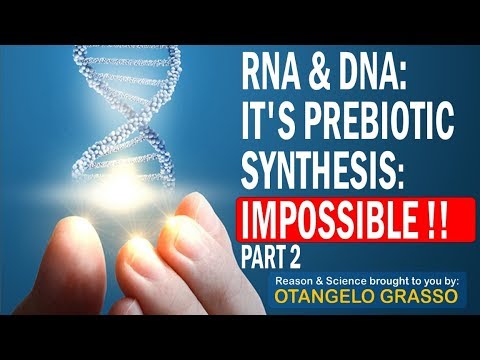 RNA & DNA: Its prebiotic synthesis: Impossible !!    Part 2
