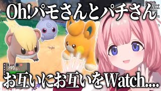 ついにパチさんとパモさんが出会いASMRアーティストまで参戦して仁義なきアカウント炎上凍結バトルが始まってしまうポケモンバイオレットエスパーニャ周央サンゴ【にじさんじ切り抜き】【周央サンゴ】