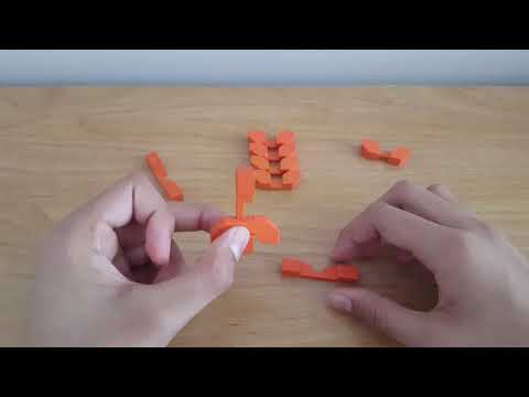 How to disassemble and assemble IQ buster sunburst puzzle