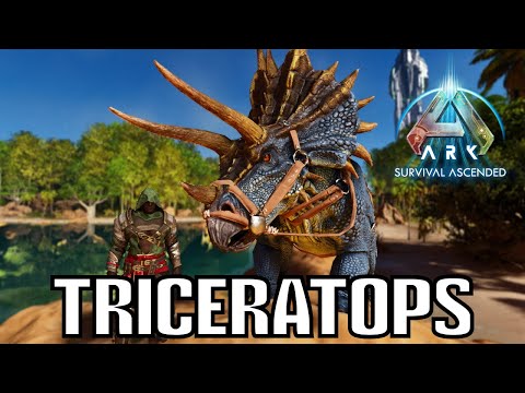 ¡COMO TAMEAR UN TRICERATOPS! | ARK Survival Ascended