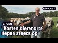 Boer Jos is heel bewust overgeschakeld naar biologisch boeren | RTV Oost