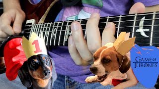 Game of Thrones on Guitar with Dogs