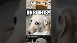 the homophobic dog