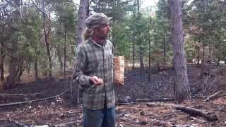preview picture of video 'Permaculture Woodland Restoration - controlled burn'