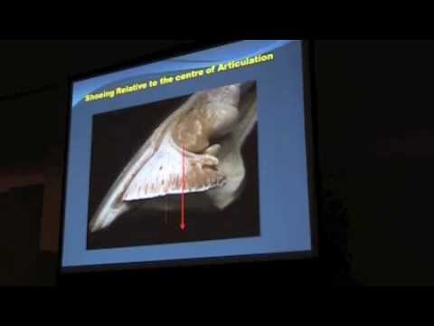 Farrier Terminology-Center of What