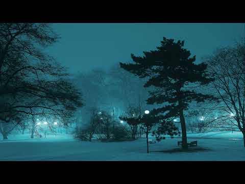 Shakedown -  At Night (Dj Groover Remix)