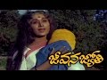 Muddula Maa Babu Video Song || Jeevana Jyothi Movie || Shobhan Babu, Vanisree, K Viswanath