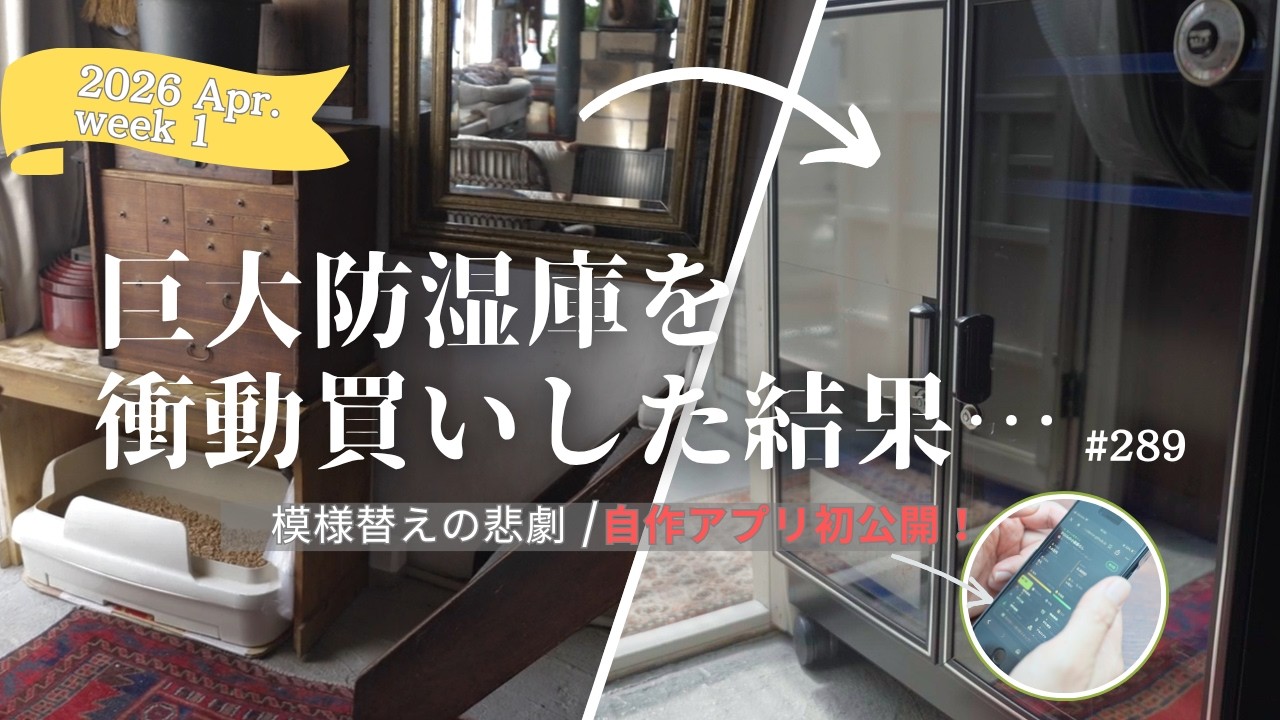 防湿庫のために小屋を模様替えしたら大変なことになった【小屋暮らしDIY】［vol.289］