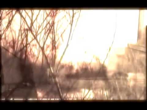 Pedro Magina - Hold My Hand Now