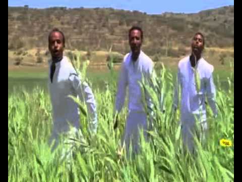 "Hileley" by Selemon G. Michael