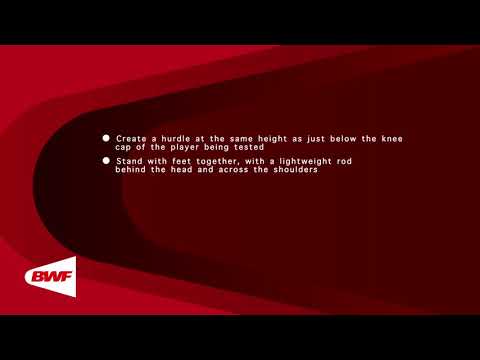 CE2M9V11 Fitness Testing - Hurdle Step Test